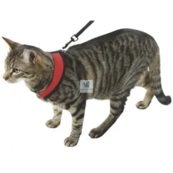 ARNES ACTIVE GATO con Correa 120 cm Arneses para Gatos