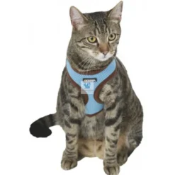 ARNES ACTIVE GATO con Correa 120 cm Arneses para Gatos