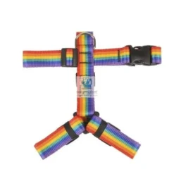 ARNES BUB´S NOT PULL RAINBOW Arneses y Collares para Perros