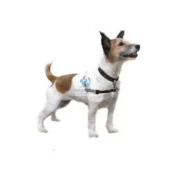 ARNES HALTI PECHO ANTITIRONES para Perros