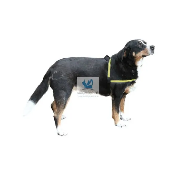 ARNES LUMINOSO LIGHT-REFLEX 25 mm Arnes para Perro