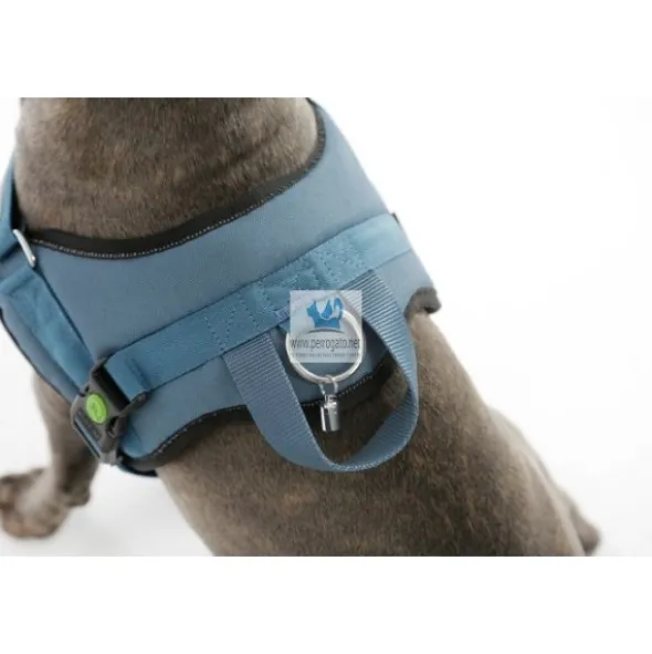 ARNES MAESTRO 2.0 Arnes para perro