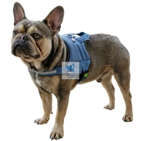 ARNES MAESTRO 2.0 Arnes para perro