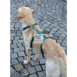 ARNES MIAMI ANTIPANICO 15 mm Arneses para Perros