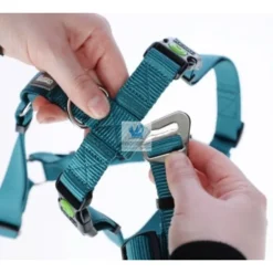 ARNES MIAMI ANTIPANICO 20 mm Arneses para Perros