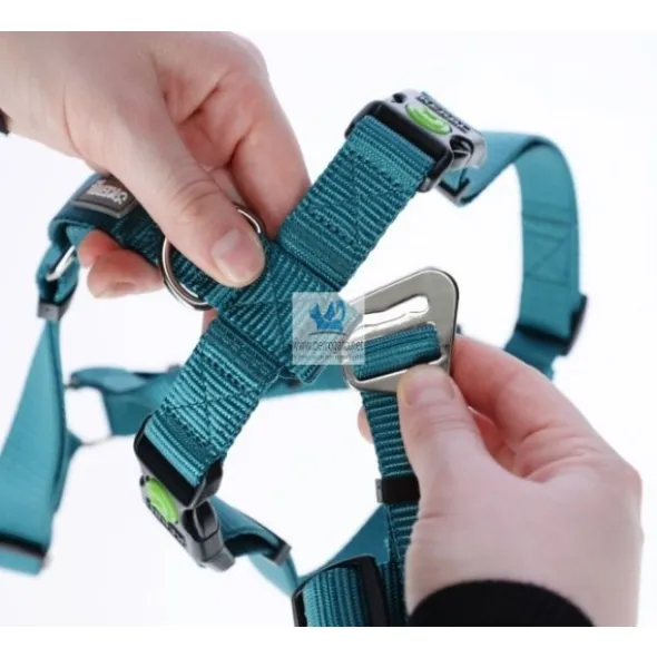 ARNES MIAMI ANTIPANICO 20 mm Arneses para Perros