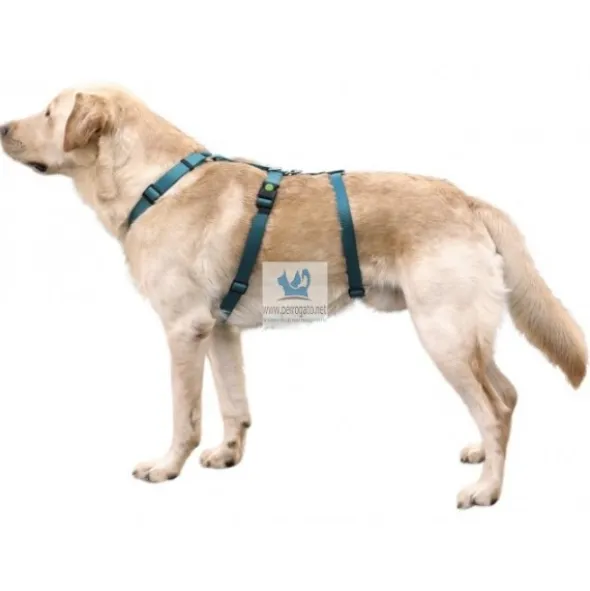 ARNES MIAMI ANTIPANICO 25 mm Arneses para Perros