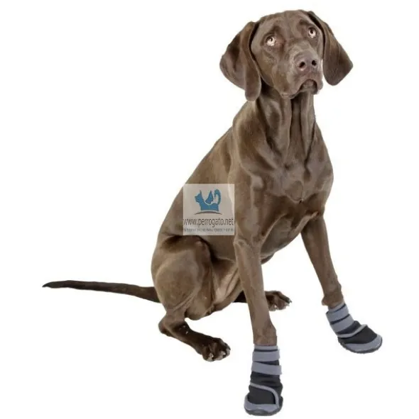 BOTA PERRO PROTECCION ACTIVE GRIS/NEGRO 2 unidades Accesorios para perros