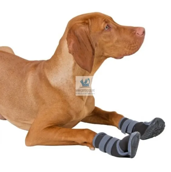 BOTA PERRO PROTECCION ACTIVE GRIS/NEGRO 2 unidades Accesorios para perros