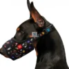 BOZAL NYLON WAUDOG AGUACATE Bozales para Perros