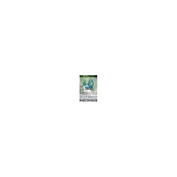 BOZAL PERRO NYLON Kerbl Bozales para perros
