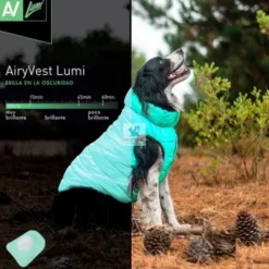 CHAQUETA AIRYVEST LUMI REVERSIBLE VERDE Y AZUL Ropa para Perros