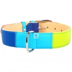 COLLAR CUERO ARCO IRIS PERRO Ancho Varias Medidas Collares para Perros