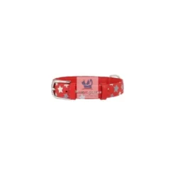 COLLAR CUERO ESTRELLA Varios Colores y Medidas Collares para Perros