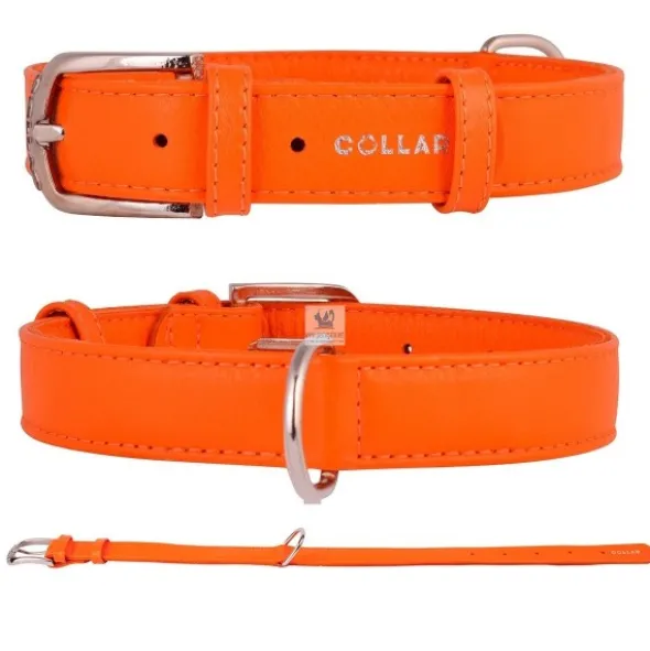 COLLAR CUERO GLAMOUR Varios Colores y Medidas Collares para Perros