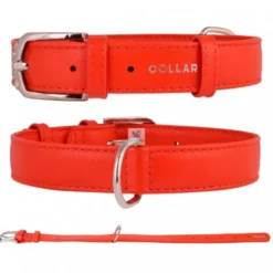 COLLAR CUERO GLAMOUR Varios Colores y Medidas Collares para Perros