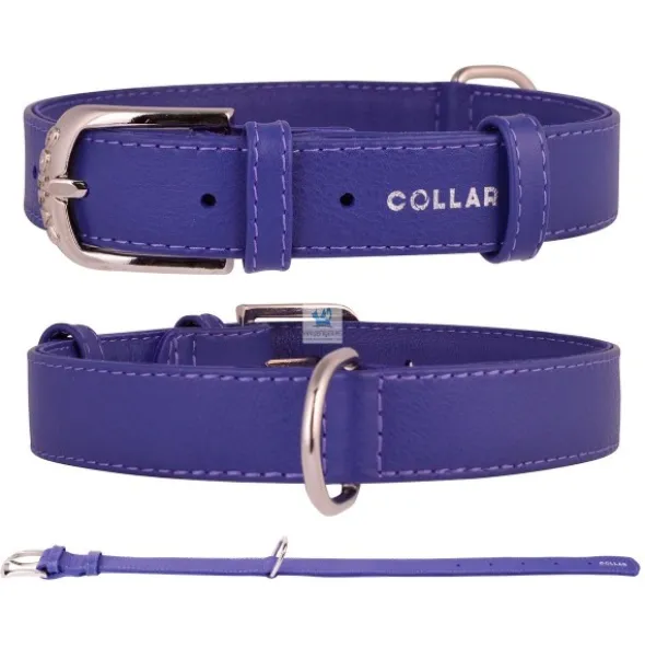 COLLAR CUERO GLAMOUR Varios Colores y Medidas Collares para Perros
