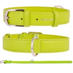 COLLAR CUERO GLAMOUR Varios Colores y Medidas Collares para Perros