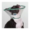 COLLAR ECOPROTEC 8 Unidades Isabelino 20 cm VERDE BULLDOG protector para Perros