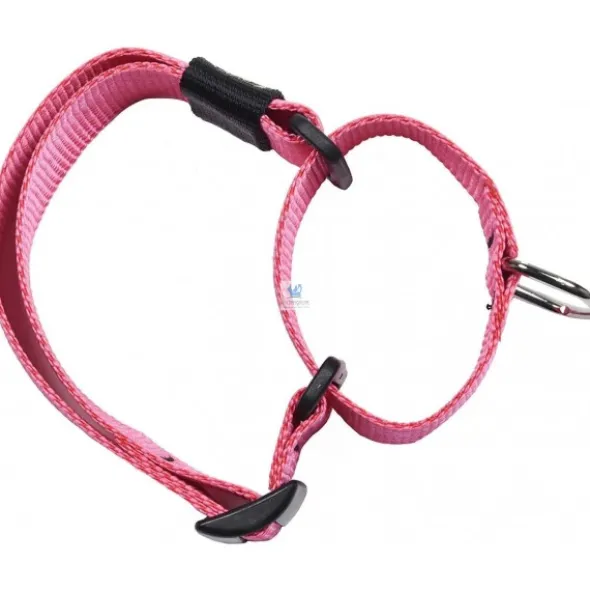 COLLAR ESTRANGULADOR BUB´S GALGOS ESPAÑA Collares para Perros