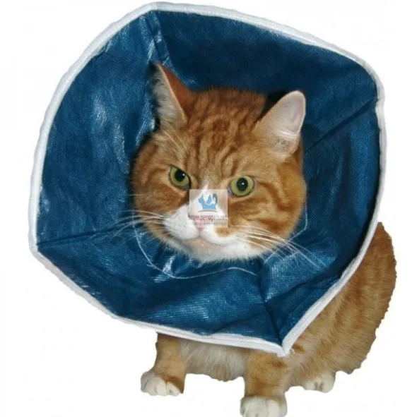 COLLAR ISABELINO BUSTER SOFT TALLA S 10 Unidades para Gatos
