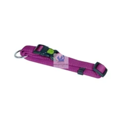 COLLAR PERRO REGULABLE MIAMI Collares para Perros