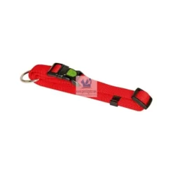 COLLAR PERRO REGULABLE MIAMI Collares para Perros