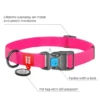 COLLAR WAUDOG IMPERMEABLE 31-49 cm Collares para Perros