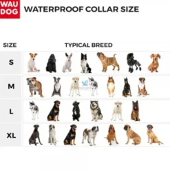 COLLAR WAUDOG IMPERMEABLE 31-49 cm Collares para Perros
