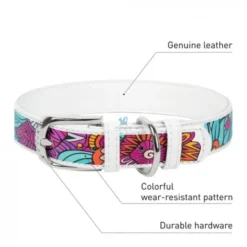 COLLAR WAUDOG SUMMER Collares para Perros