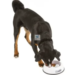 COMEDERO Y BEBEDERO ANTIANSIEDAD Comedero para Perros