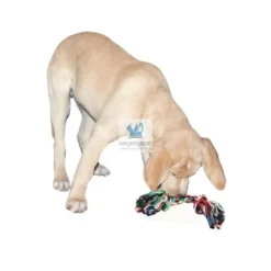 CUERDA ALGODON PARA DIENTES Limpieza Dental en Perros