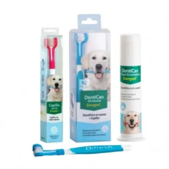 DENTICAN KIT DENTAL CEPILLO + PASTA Higiene Bucal de Perros y Gatos