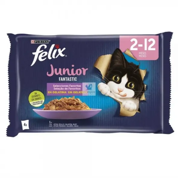 FELIX FANTASTIC JUNIOR 12x(4x85 g) Comida para gatos
