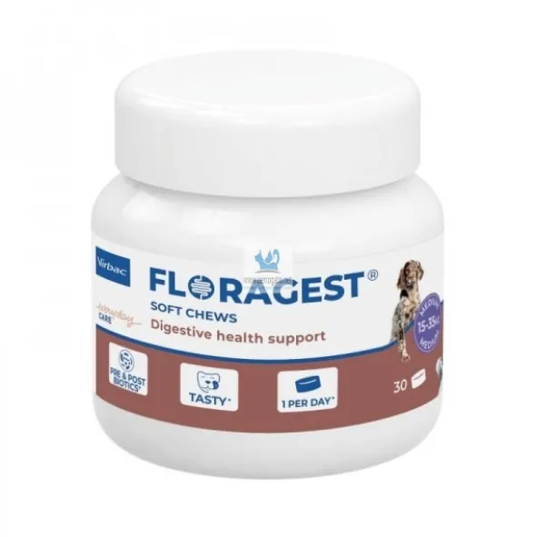 FLORAGEST PERRO 30 Chews Salud digestiva en perros