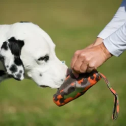 JUGUETE FOOD DUMMY Juguetes para Perros