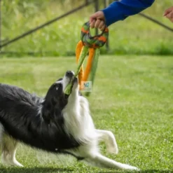 JUGUETE FRANZ Juguetes para Perros