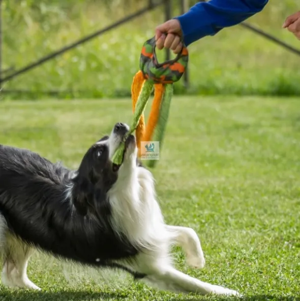 JUGUETE FRANZ Juguetes para Perros