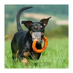 JUGUETE RING RUDI Juguete para Perros