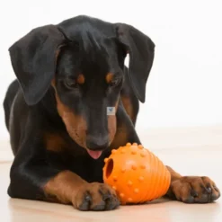 JUGUETE SNACK EGG Juguetes para Perros