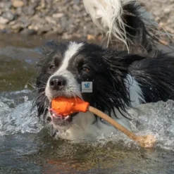 JUGUETE SWIMMING EDDY de Recuperación Juguetes para Perros