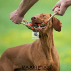 JUGUETE TUGGER Juguete para Perros