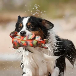 JUGUETE WALDI Varios Tamaños Juguetes para Perros