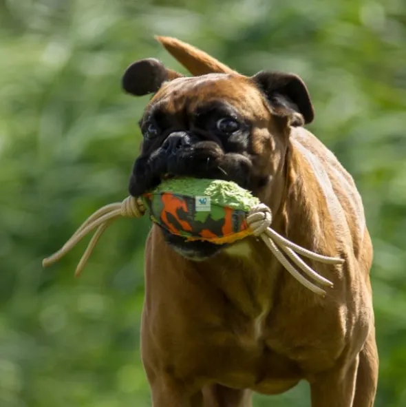 JUGUETE WILLY Juguetes para Perros