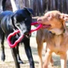 KONG TUG TOY Juguetes para Perros