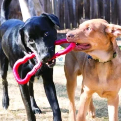 KONG TUG TOY Juguetes para Perros