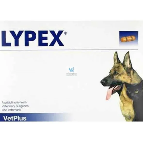 LYPEX 60 Capsulas Enzimas Pancreáticas Complementos para Perros y Gatos