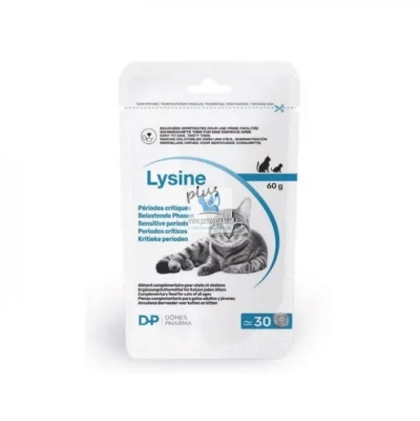 LYSINE PLUS 30 Comprimidos Salud Ocular en gatos