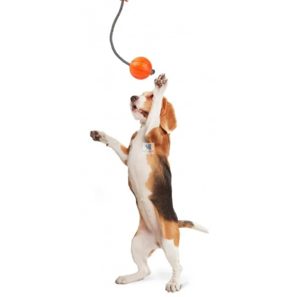 PELOTA LIKER CUERDA Juguetes para Perros