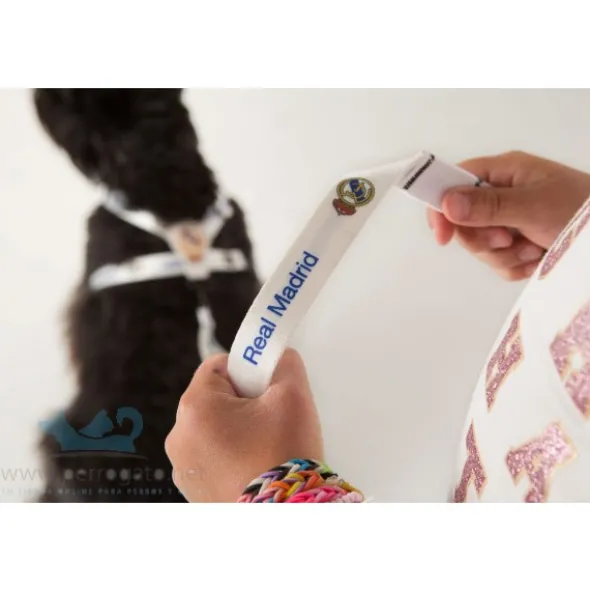 PETRAL REAL MADRID collares para perros